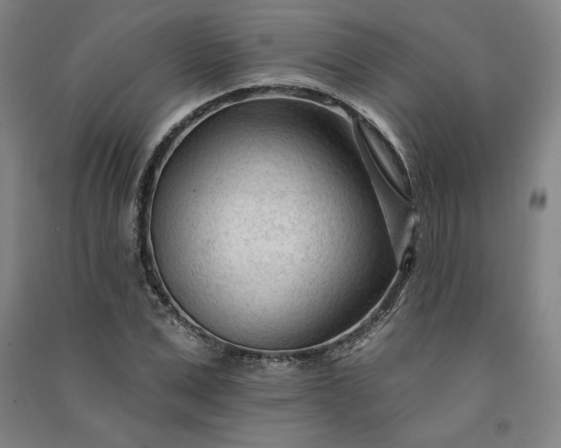 X0000091090975200708201453