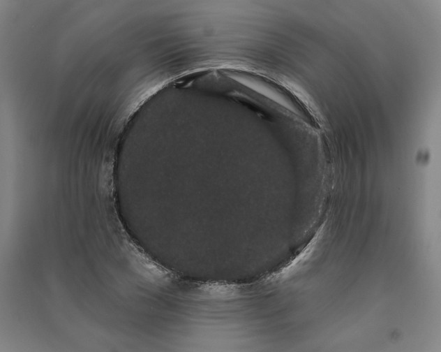 X0000091090977200708201453