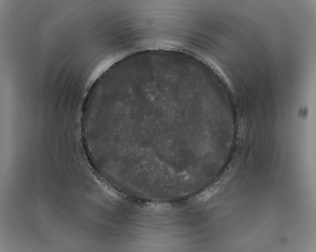 X0000091090978200708201453