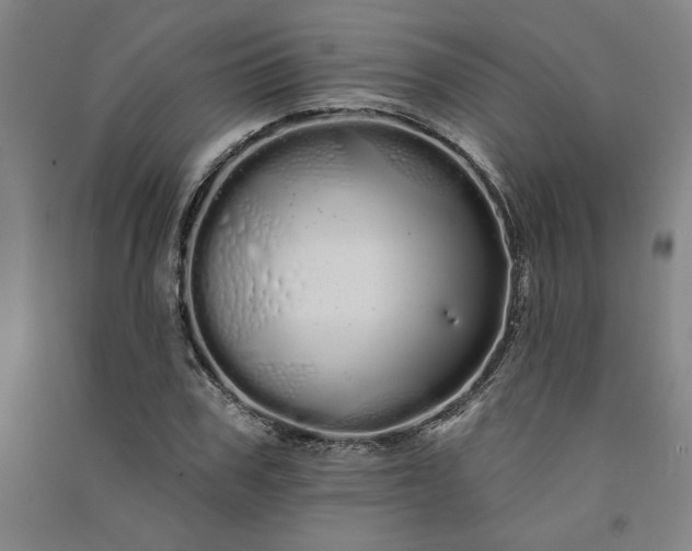 X0000091090979200708201453