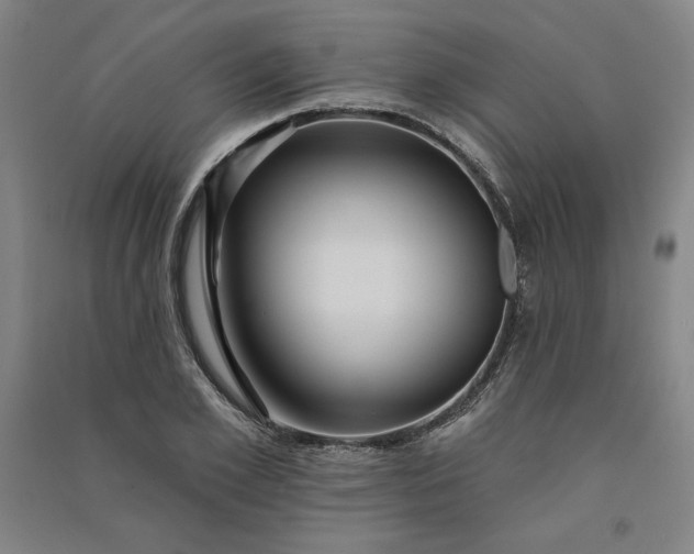 X0000091090981200708201453