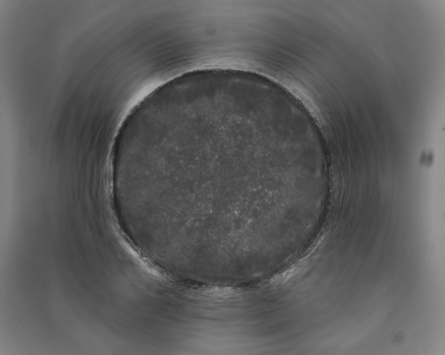 X0000091090982200708201453