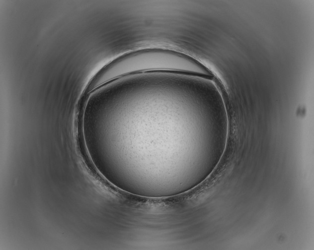 X0000091090983200708201453