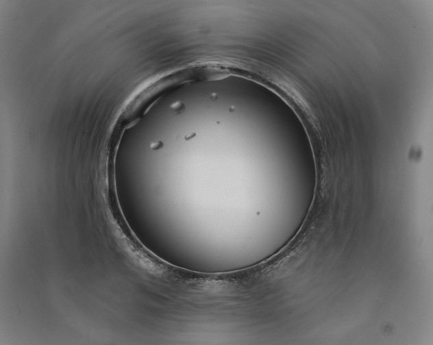 X0000091090984200708201453