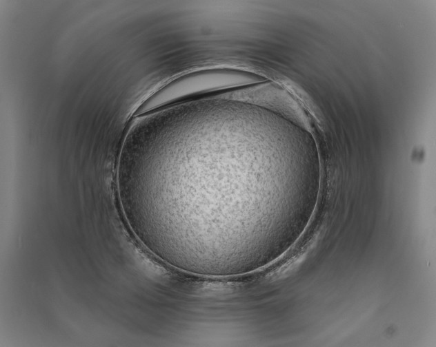 X0000091090985200708201453