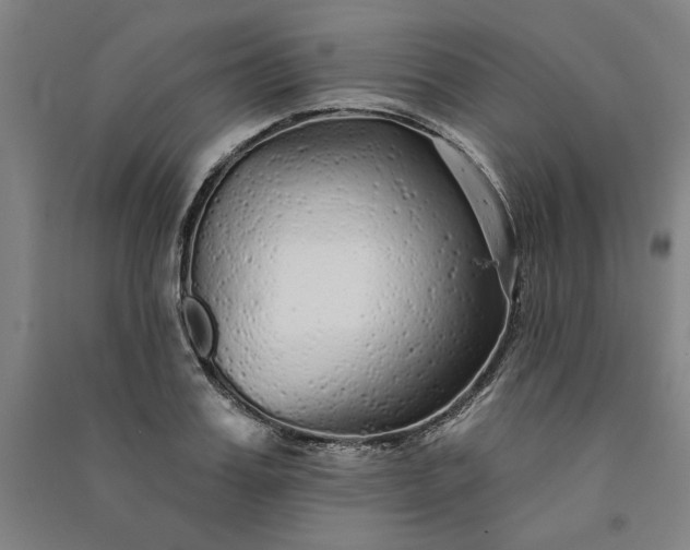 X0000091090987200708201453