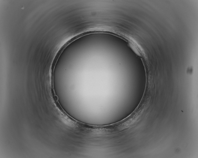 X0000091090988200708201453