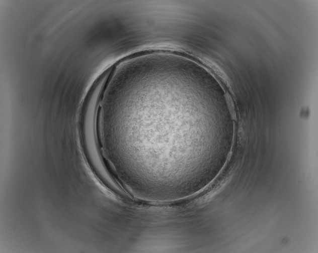 X0000091090989200708201453