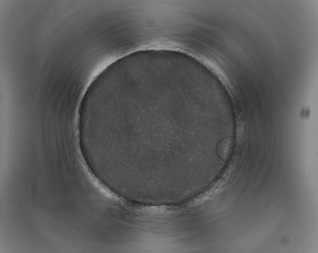 X0000091090990200708201453