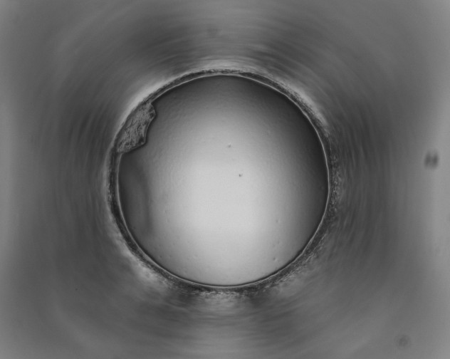 X0000091090991200708201453