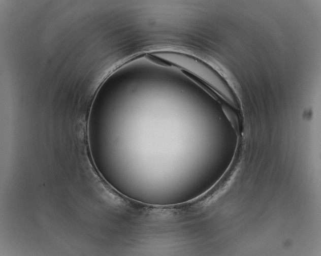 X0000091090993200708201453