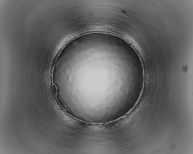 X0000091090994200708201453