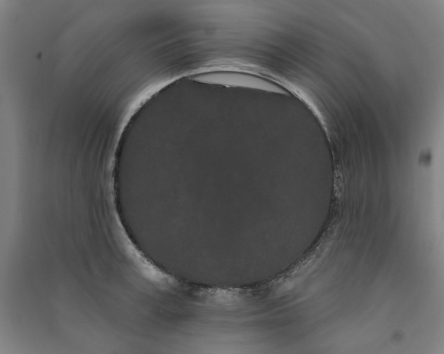 X0000091090995200708201453