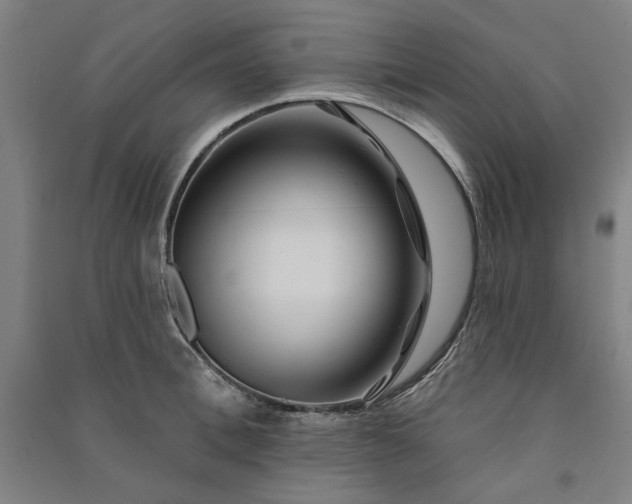 X0000091090996200708201453