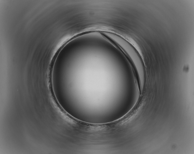 X0000091090997200708201453