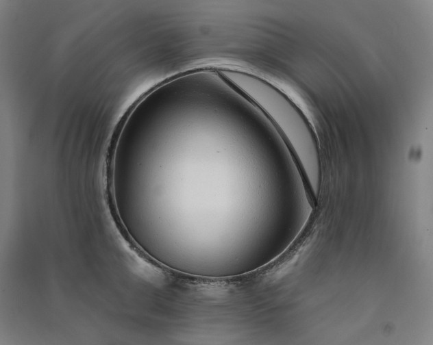 X0000091090999200708201453