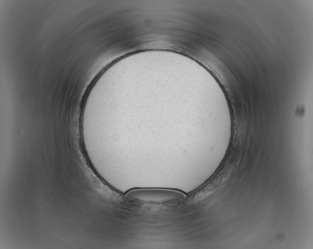 X0000091091000200708201453