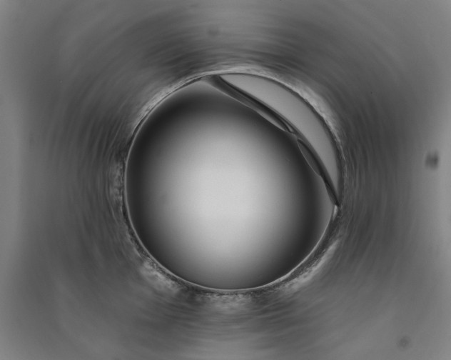 X0000091091001200708201453