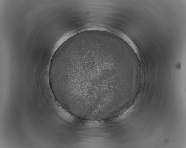 X0000091091002200708201453