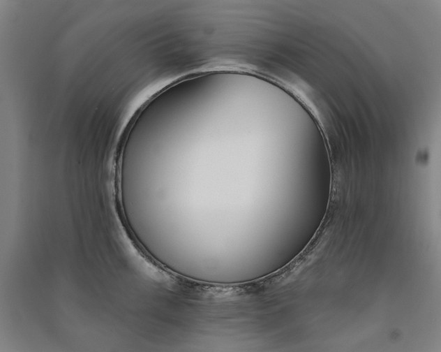 X0000091091003200708201453