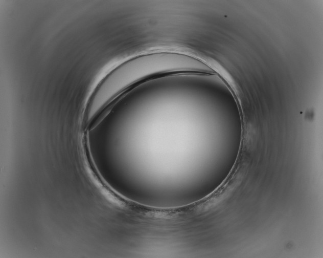 X0000091091005200708201453