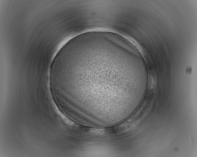 X0000091091006200708201453