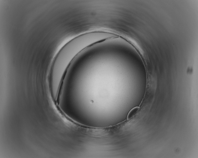 X0000091091007200708201453