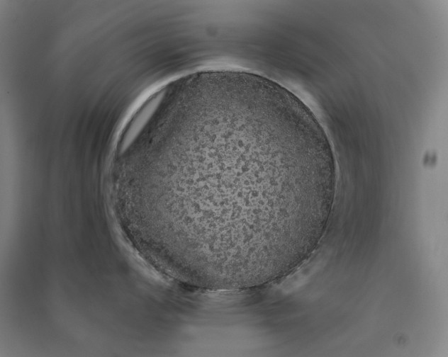 X0000091091008200708201453