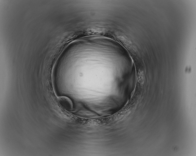 X0000091091009200708201452