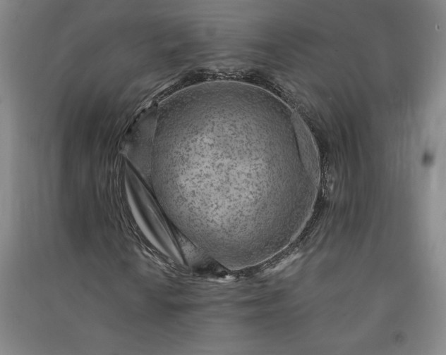 X0000091091010200708201452