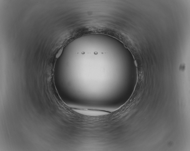 X0000091091012200708201452