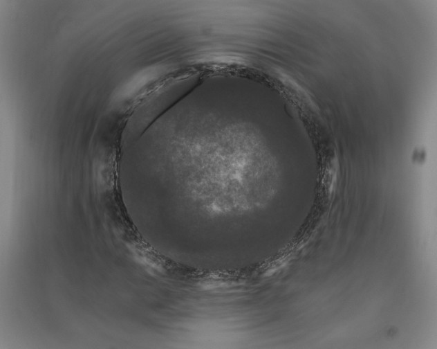 X0000091091014200708201452