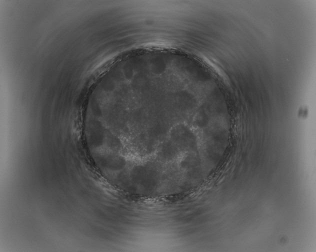 X0000091091015200708201452