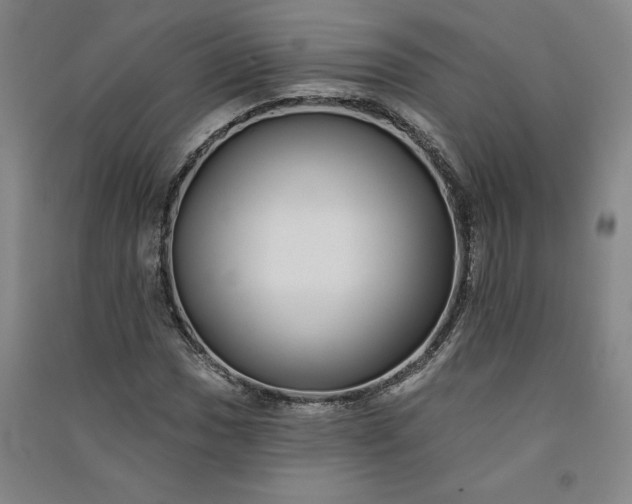 X0000091091017200708201452