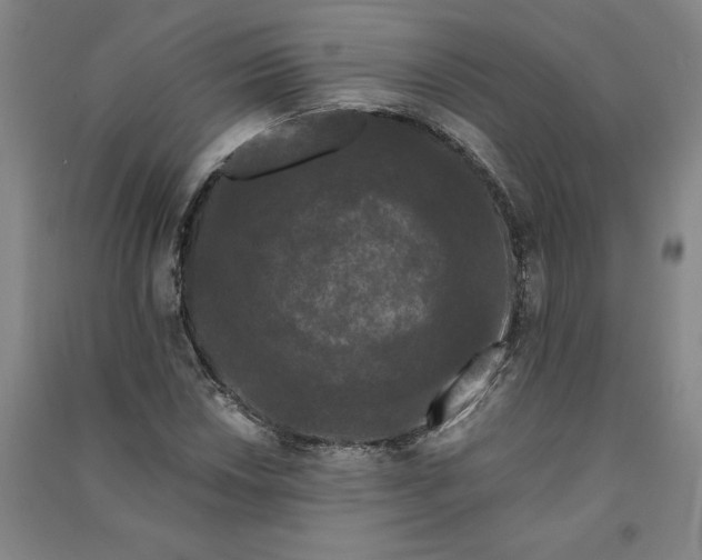 X0000091091018200708201452