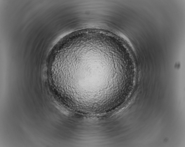 X0000091091019200708201452