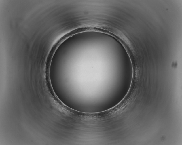 X0000091091020200708201452