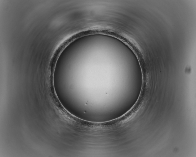 X0000091091021200708201452