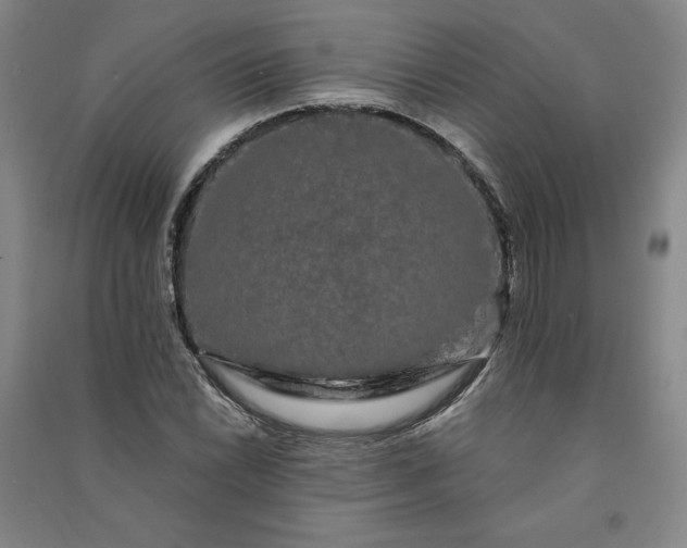 X0000091091022200708201452