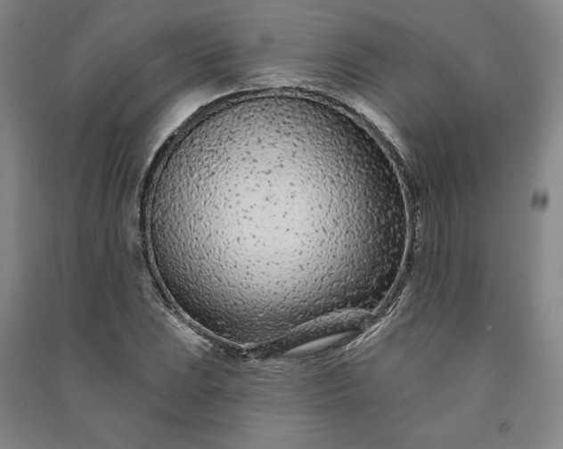 X0000091091023200708201452