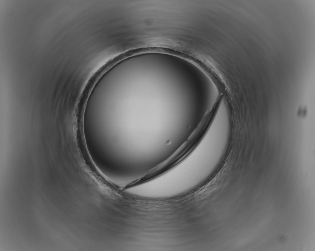 X0000091091024200708201452