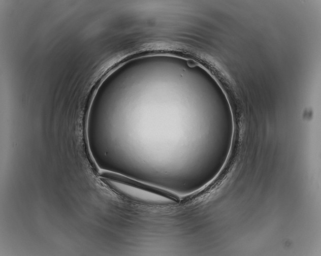 X0000091091025200708201452