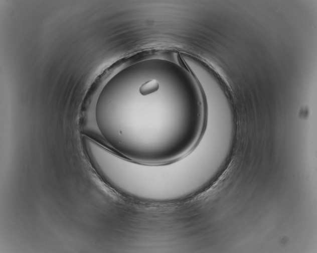 X0000091091026200708201452