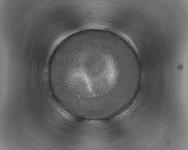 X0000091091027200708201452