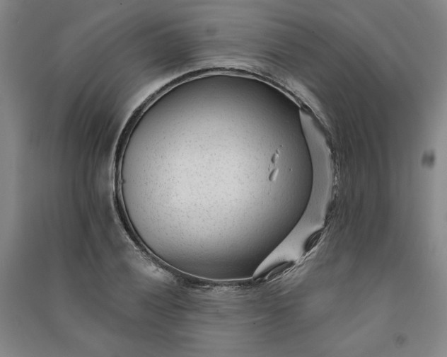 X0000091091028200708201452