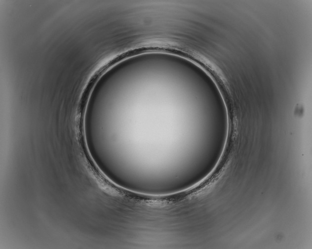 X0000091091029200708201453