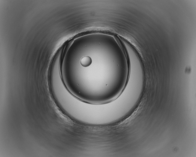 X0000091091030200708201453