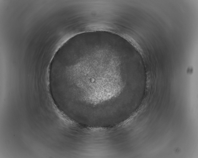 X0000091091031200708201453