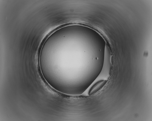 X0000091091032200708201453