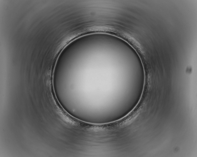 X0000091091033200708201453